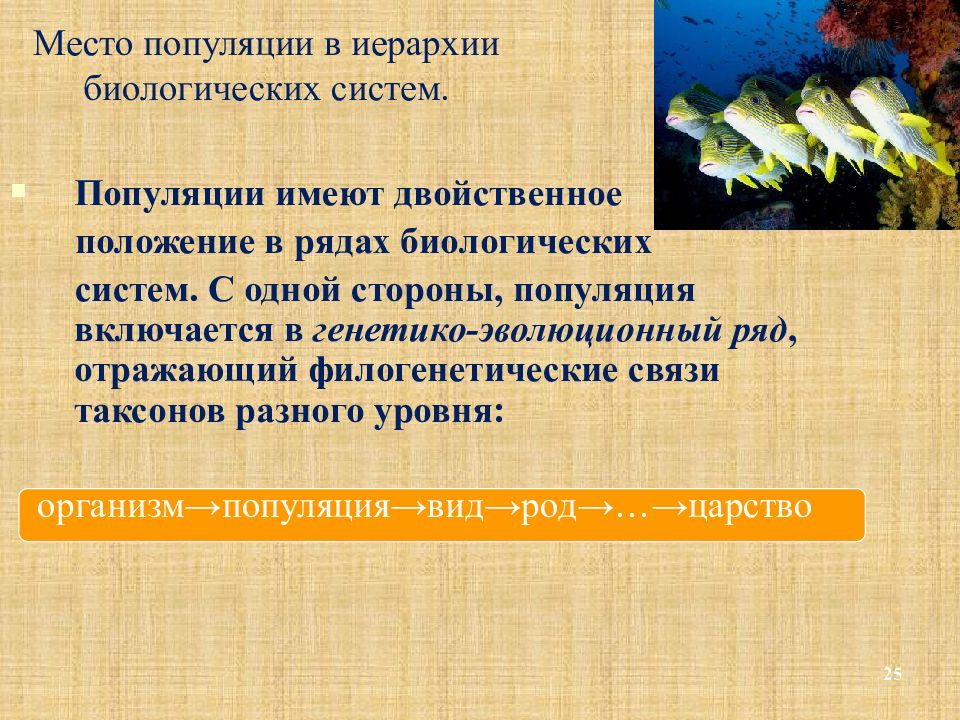 Речь роль в эволюции. Биологическая популяция. Система популяций. Генетико-эволюционный ряд. Положения популяции.