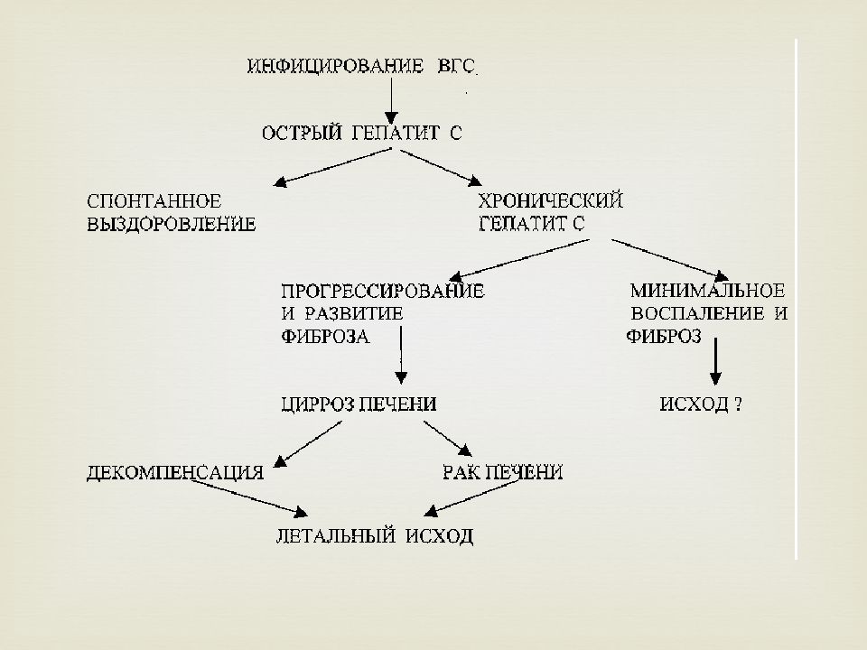 Эффективной схемой лечения хронического вирусного гепатита с является тест с ответами