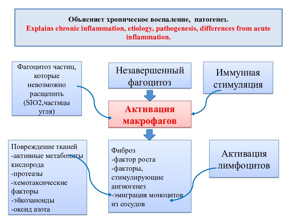 Схема патогенеза хронического патогенеза