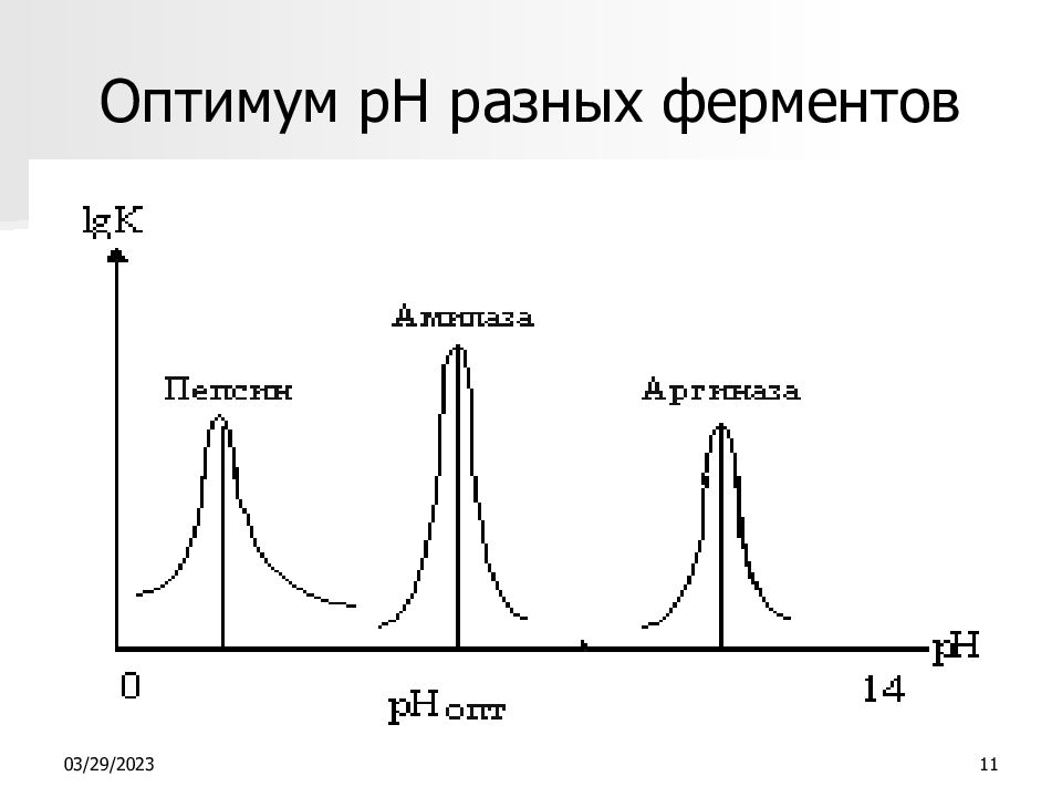 Оптимум это. Оптимум. Оптимум РН ферментов. Температурный Оптимум действия ферментов. Оптимум функции.