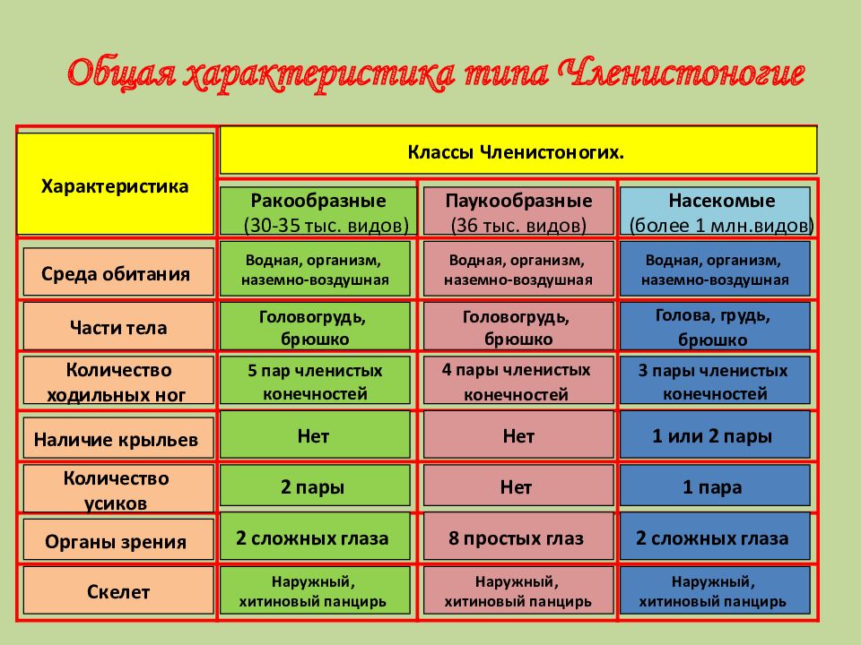 Используя рисунки в тексте параграфа установите по каким признакам внешнего строения различаются