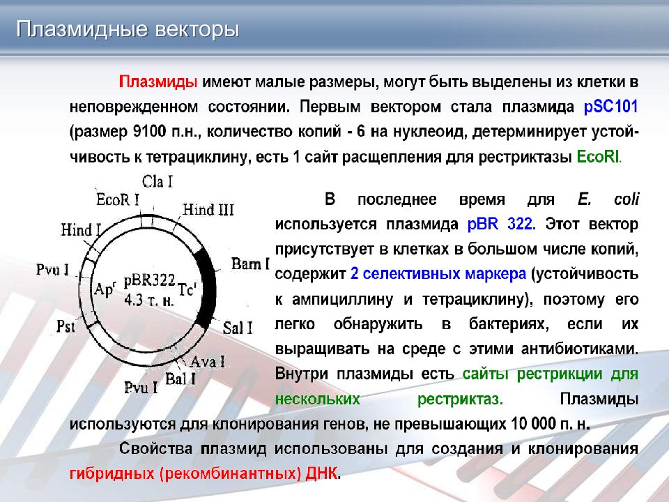 Векторы плазмиды. Плазмидные векторы. Векторы на основе плазмид. Плазмидные вектора для клонирования. Плазмидные и вирусные векторы.