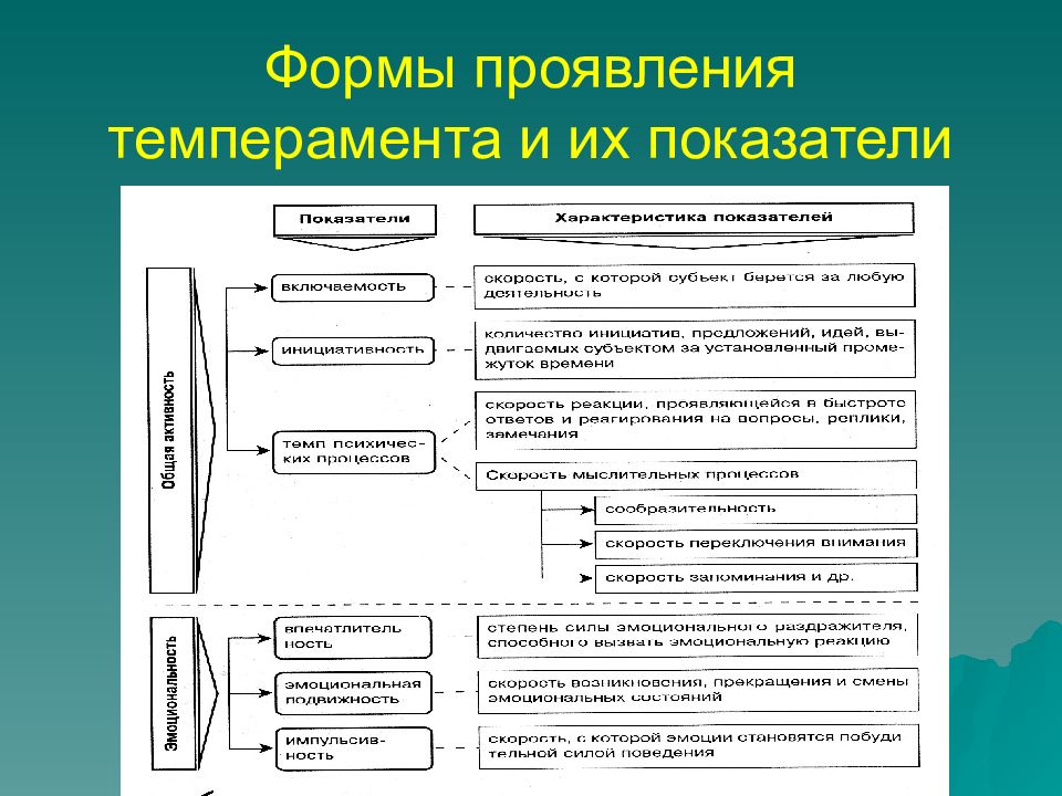 Виды проявления деятельности