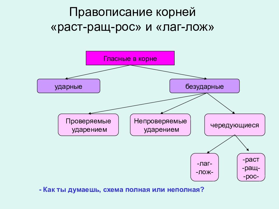 Росли гласная корня. Правописание корней лаг раст. Правописание корней лаг лож рос раст ращ. Кластер на тему чередование гласных в корне. Правописание гласных в корнях кластер.