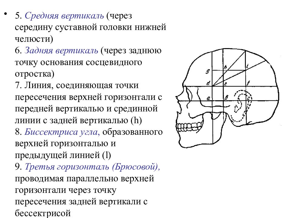 Подразделение головы. Топонрафич основных нервных стволмозгового отдела ГОЛОВЫОВ. Границы мозгового отдела головы топографическая анатомия. Топография основных нервных стволов мозгового отдела головы. Мозговой отдел головы деление на области топографическая анатомия.