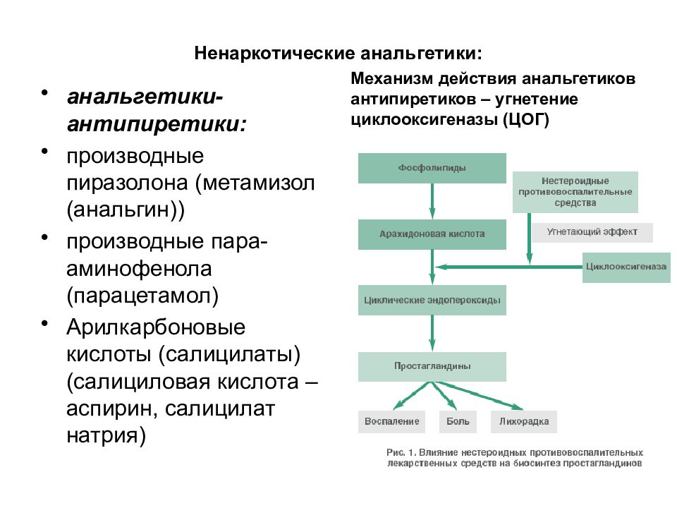 Механизм анальгетиков. Механизм действия ненаркотических анальгетиков схема. Ненаркотические анальгетики механизм развития основных эффектов. Ненаркотические анальгетики препараты механизм действия. Основные фармакологические эффекты ненаркотических анальгетиков.