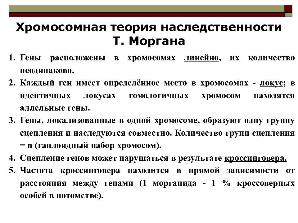 Закон томаса моргана. Презентация наследование признаков у организмов. Закон наследственности связанный с рецессивным признаком.