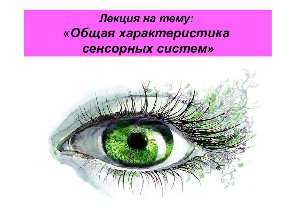 Лекция на тему: « Общая характеристика сенсорных систем»