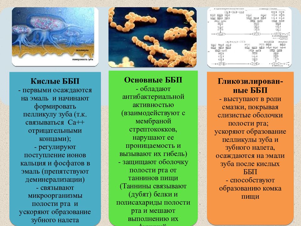 Презентация биохимия полости рта