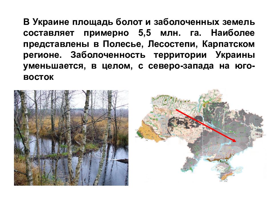 Территория болот в россии. Болотные и Заболоченные почвы. Площадь болот. Заболоченность территории. Площадь болот Украины.