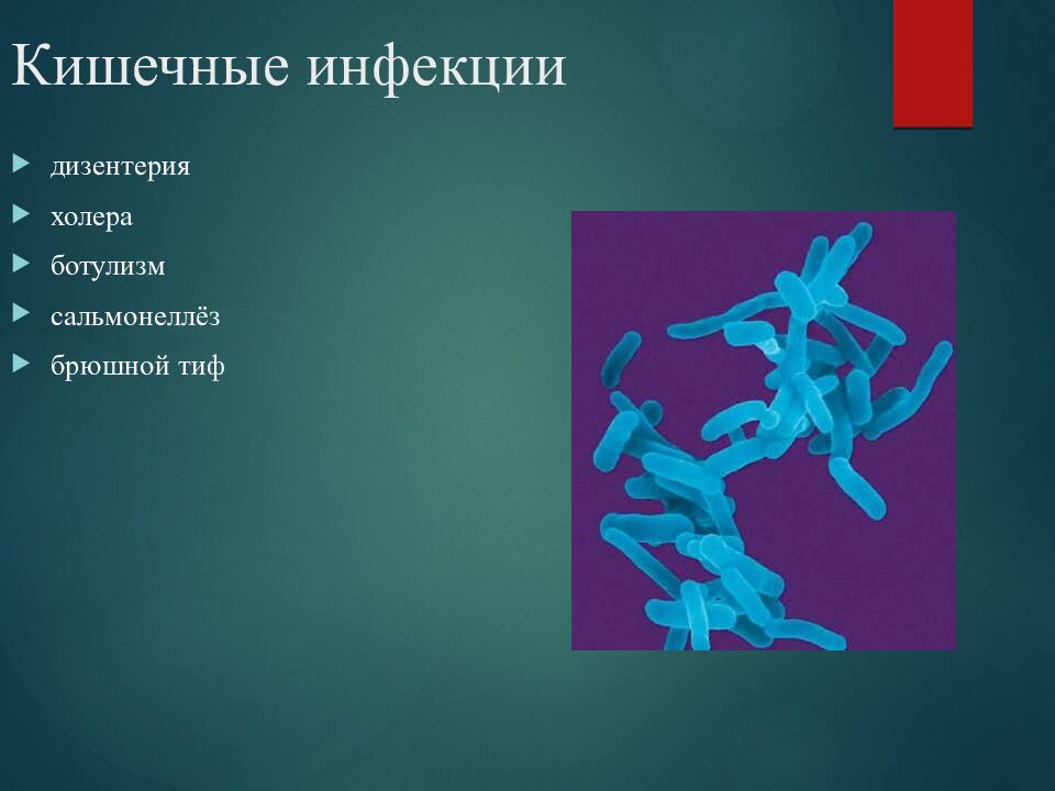 Кишечные инфекции