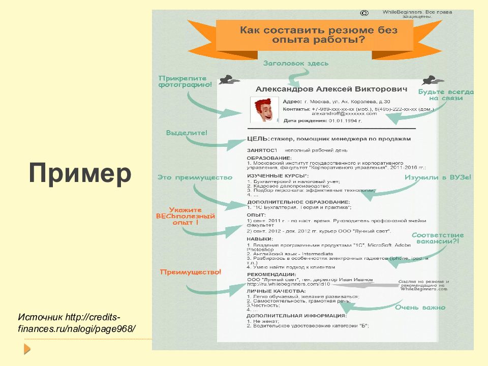 Резюме практиканта образец