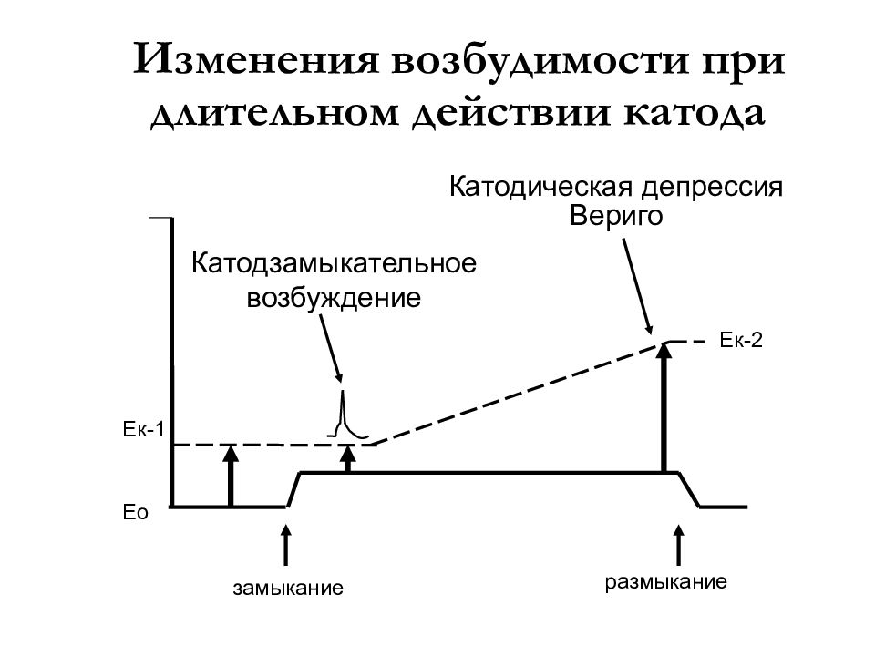 Законы возбуждения. Изменение возбудимости при действии постоянного тока. Изменение возбудимости при действии постоянного тока физиология. Катодическая депрессия Вериго физиология. Катодическая депрессия и анодная экзальтация.