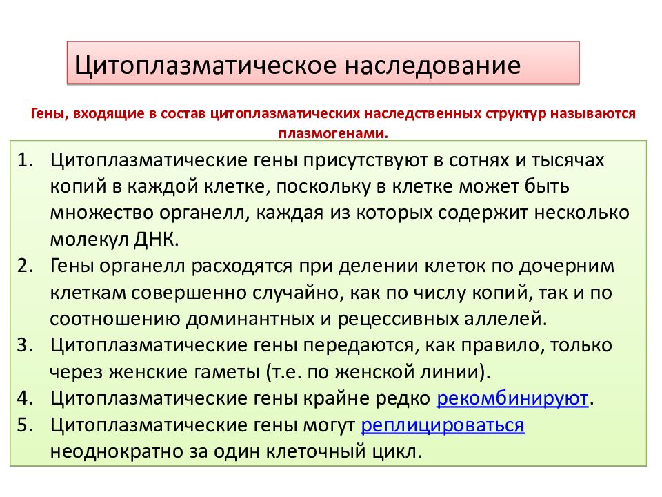 Цитоплазматическая наследственность презентация