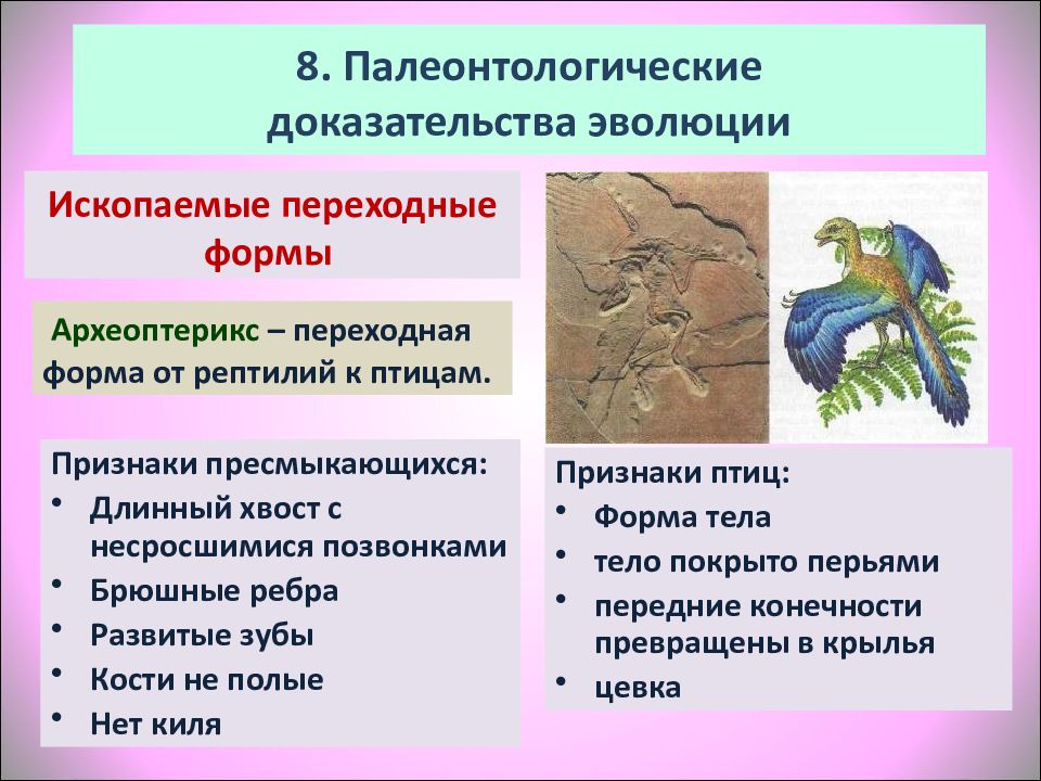 Прогрессивными характеристиками птиц в сравнении с рептилиями. Переходные формы доказательства эволюции Археоптерикс. Доказательство что Археоптерикс это переходная форма. Археоптерикс палеонтологическое доказательство. Переходные формы Археоптерикс ЕГЭ биология.
