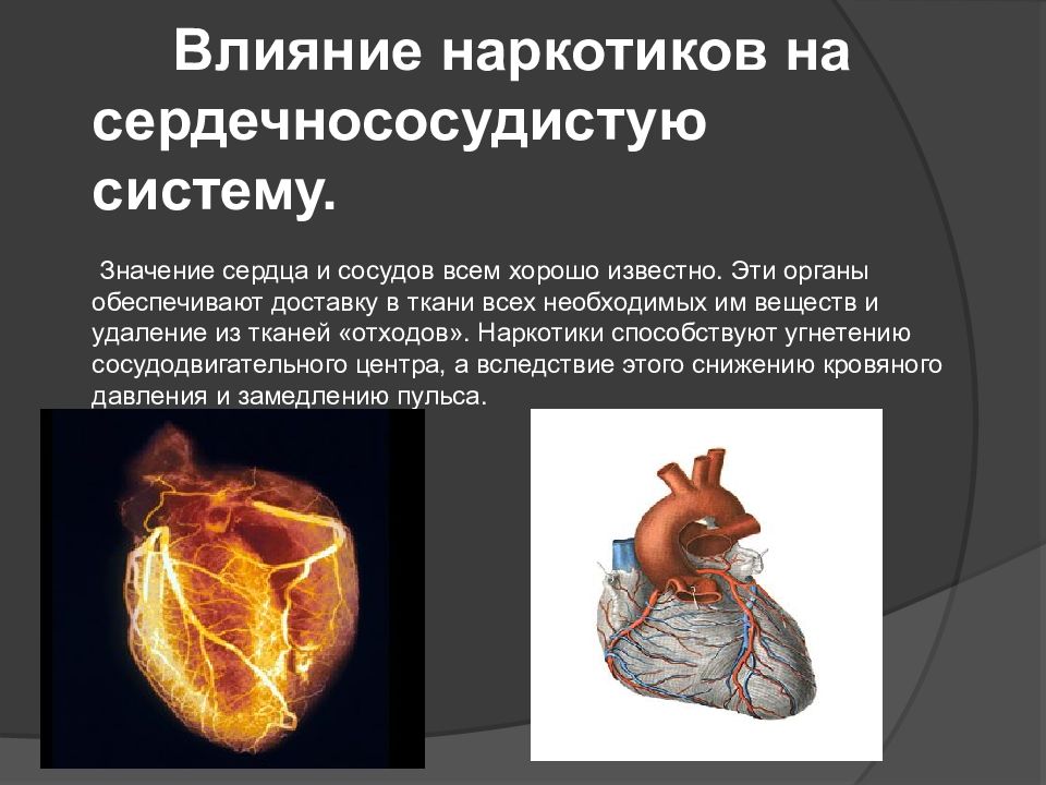 Сердечно сосудистая система презентация биология