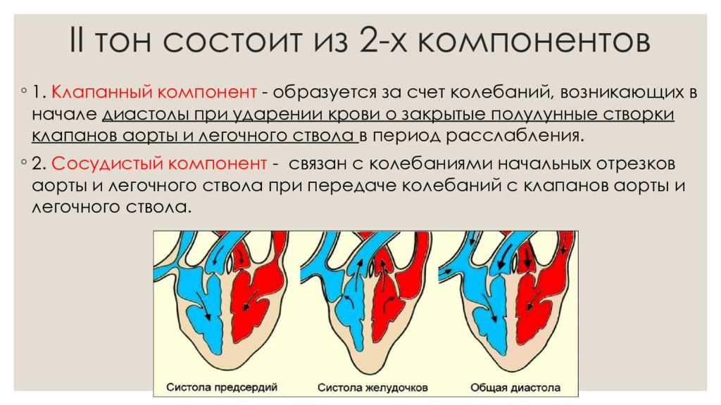 Сокращение предсердий диастола. Диастола предсердий и желудочков. Фазы систолы и диастолы. Диастола желудочков длится. Диастола предсердий длится.