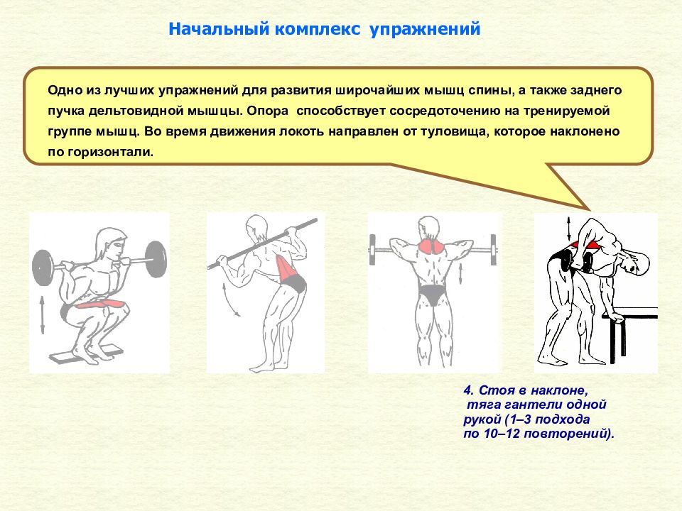 Комплекс выполнен. Комплекс упражнений для развития мышц. Упражнения для развития спины. Упражнения для развития мышц спины. Комплекс упражнений для развития дельтовидных мышц.