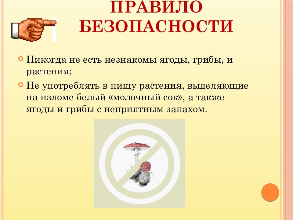 Правило 42. Правило безопасности растений. Правило безопасности с грибами. Не употреблять в пищу незнакомые грибы и ягоды. Никогда не ешьте незнакомых ягод.