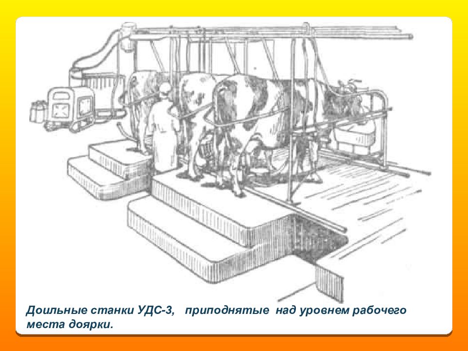 Доильная установка удс 3б схема