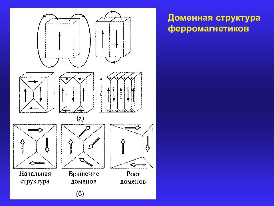 Магнитные дом. Ферромагнетизм доменная структура. Доменное строение ферромагнетиков. Доменная структура ферромагнетиков. Ферромагнетики доменная структура ферромагнетиков.