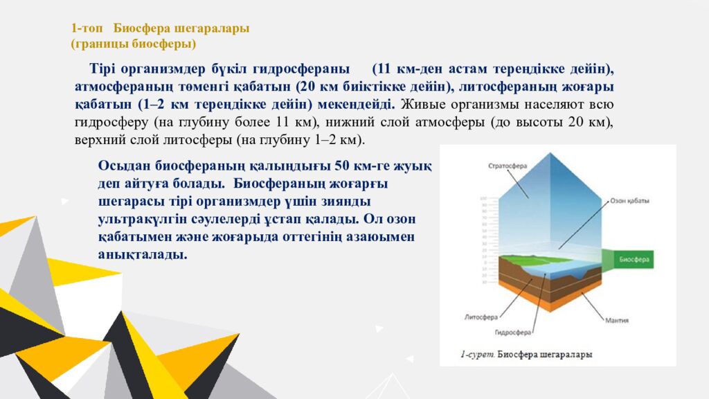 Қайырлы күн,оқушылар!