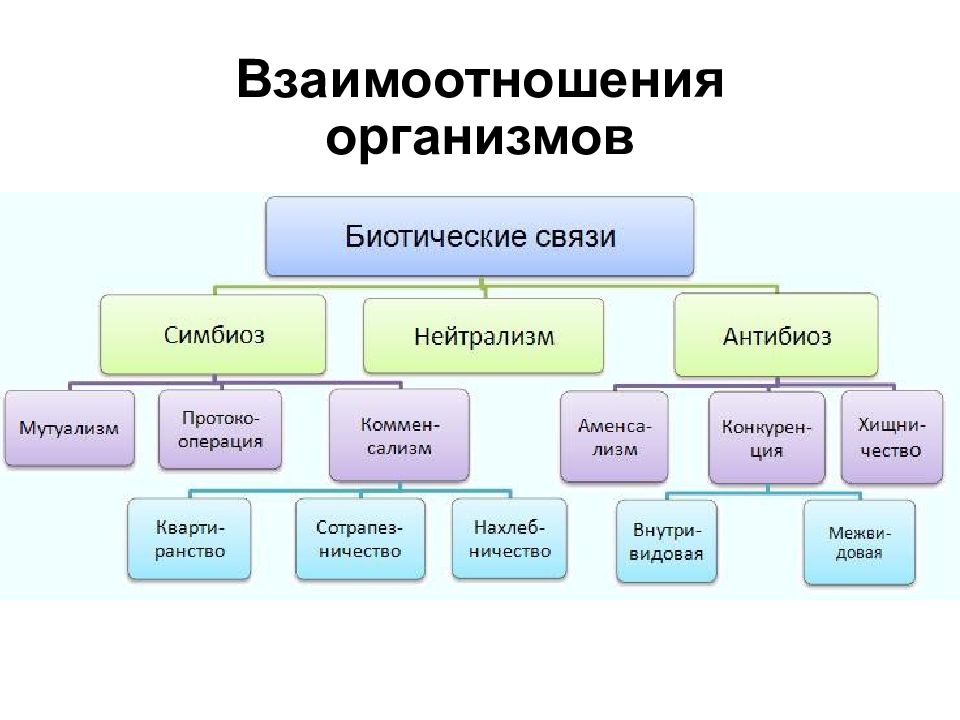 Взаимоотношения организмов егэ. Типы взаимоотношений в природе. Типы взаимодействия видов. Биотические связи групп организмов уровни организации.