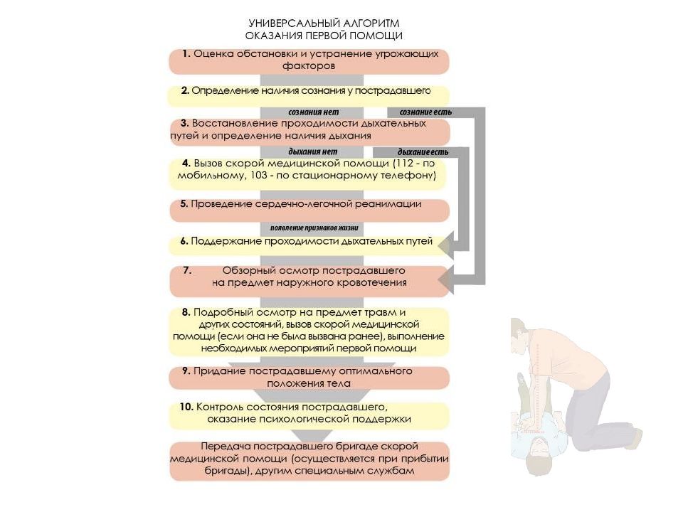 Схема алгоритма оказания первой помощи