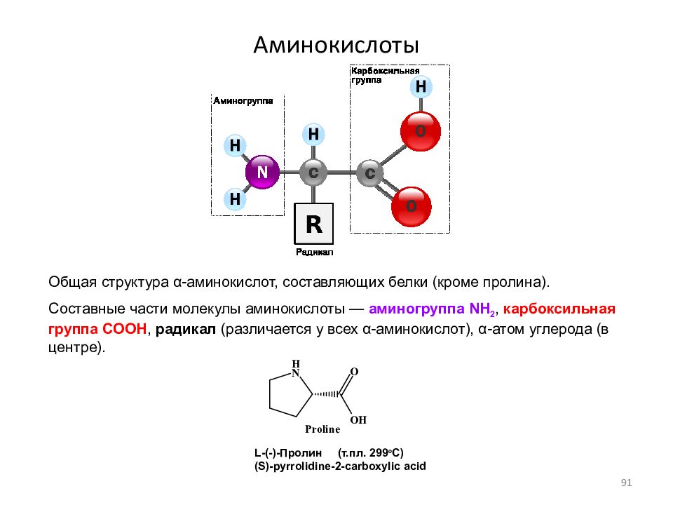 Аминокислоты аминогруппа карбоксильная группа. Аминогруппа и карбоксильная группа. Схема строения молекулы аминокислоты. Карбоксильная группа аминокислот. Составные части аминокислоты.