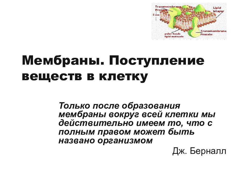 Поступление веществ в клетку. Как поступают вещества в живую клетку.