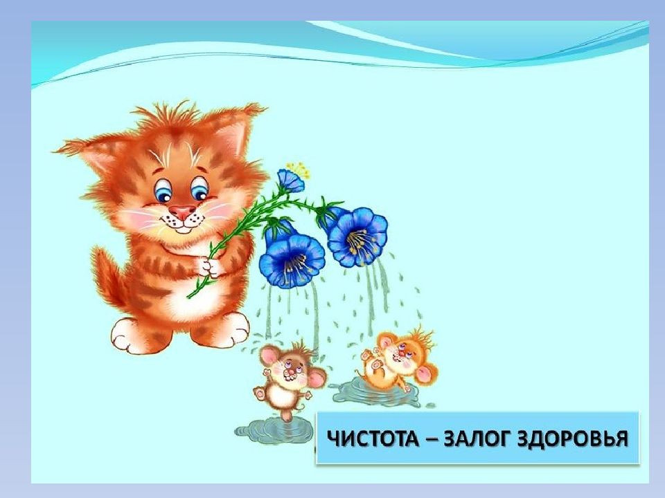 Чистота Залог Здоровья Картинки
