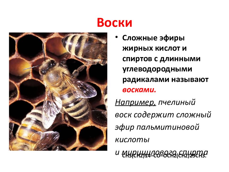 Воски сложные эфиры. Пчелиный воск эфир пальмитиновой кислоты. Воски это сложные эфиры. Пчелиный воск сложный эфир.