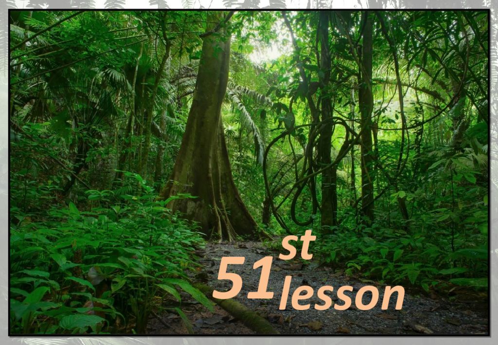 lesson st 51