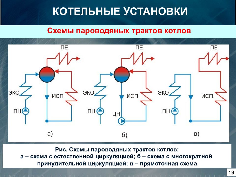 Общая энергетика