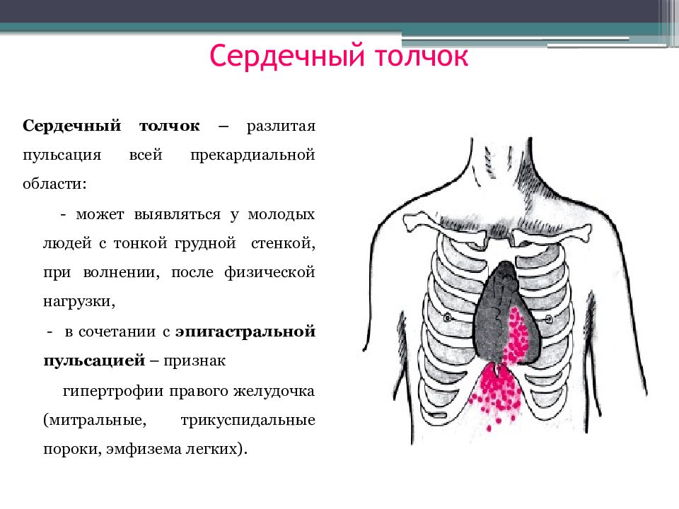 Сердечный толчок. Методика определения сердечного толчка. Верхушечный и сердечный толчок. Сердечный толчок сердца. Сердечный толчок определяется.