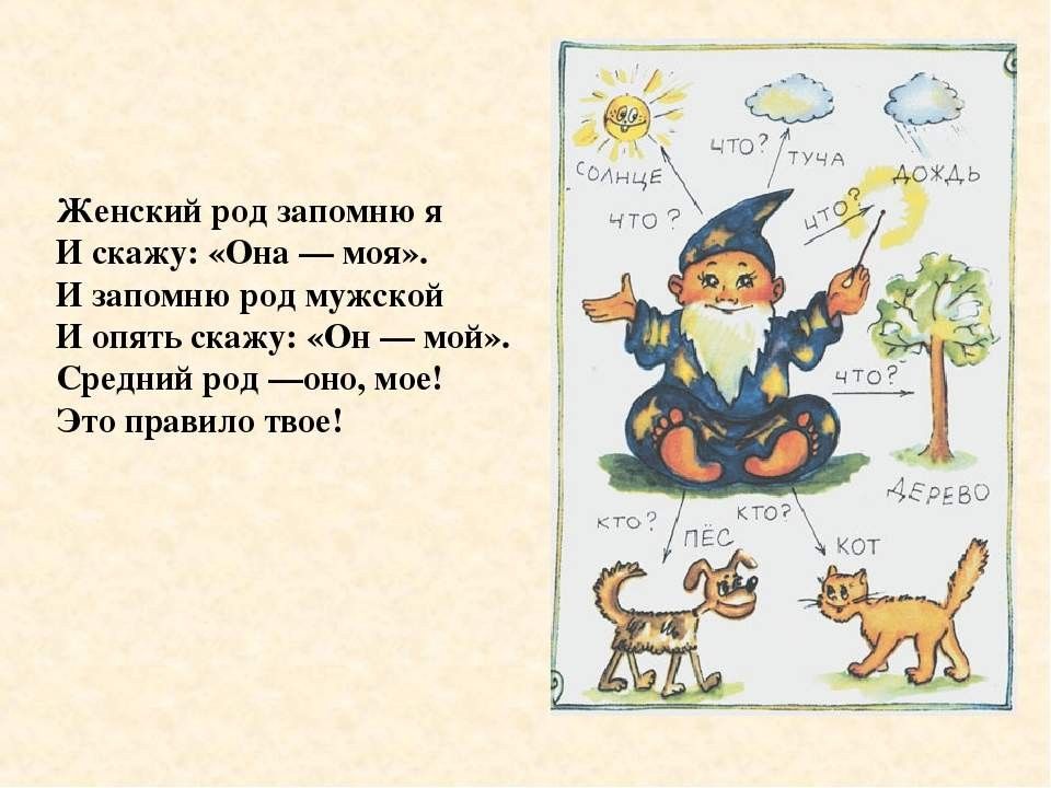 Женский род. Женский род запомню я и скажу она моя. Стих женский род запомню я. Женский род запомню я и скажу она моя стихотворение. Женский род она моя.