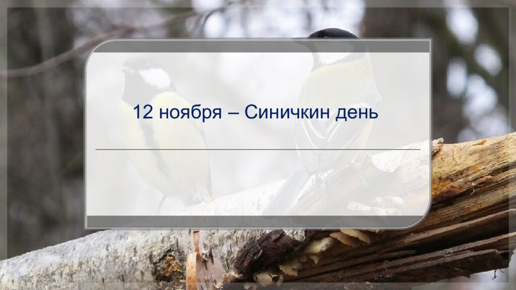 12 ноября – Синичкин день
