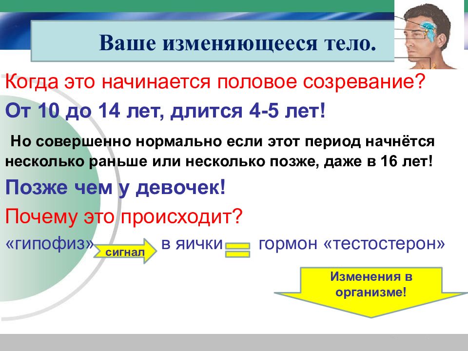 Начинается пол. Когда начинается половое созревание. Когда наступает половая зрелость. Половое созревание начинается раньше. Когда наступает пубертатный период.