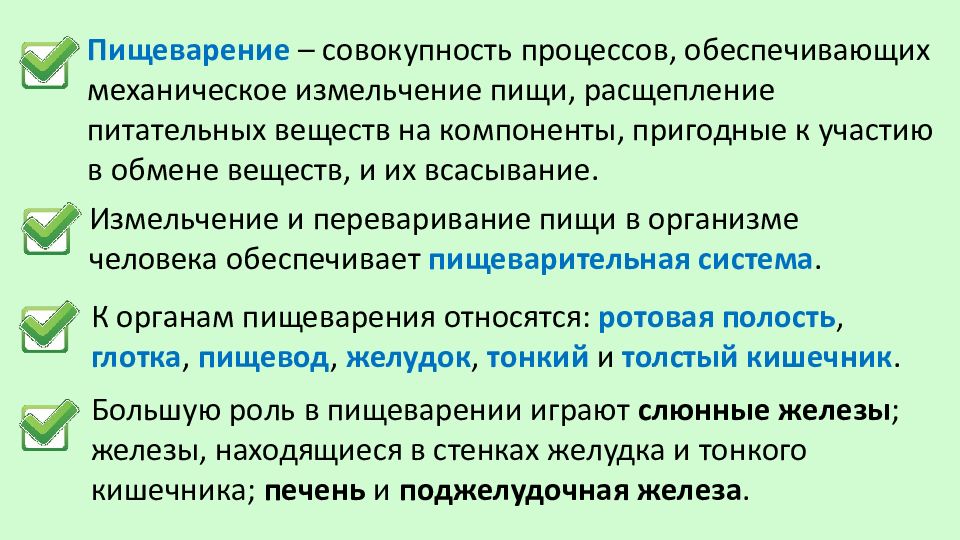 Совокупность процедур. Пищеварение это совокупность процессов обеспечивающих. Процессы измельчения расщепления и переваривания пищи. Совокупность процессов механического измельчения пищи. Процесс механического измельчения и расщепления пищи.