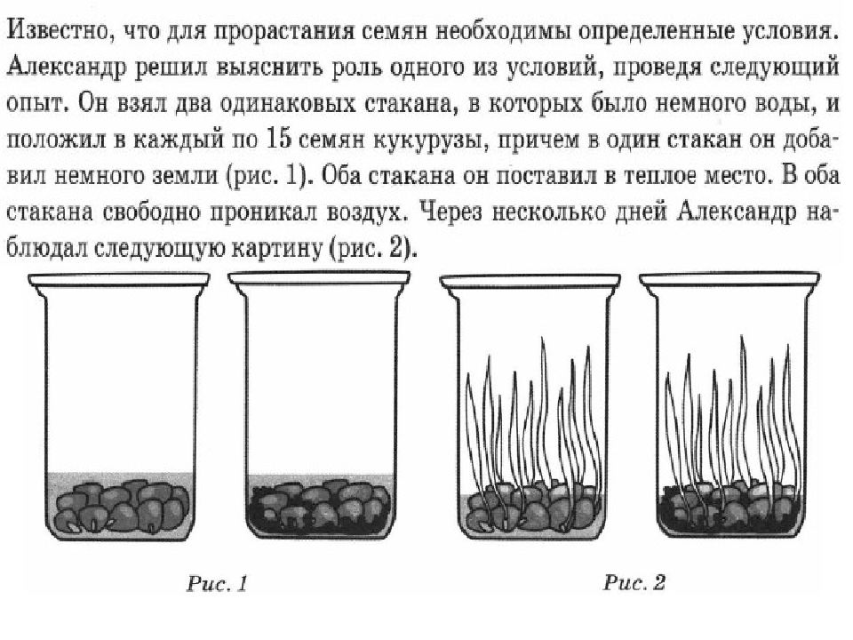 Используя рисунок 85 учебника подсчитайте сколько воды потребуется для набухания и прорастания 100