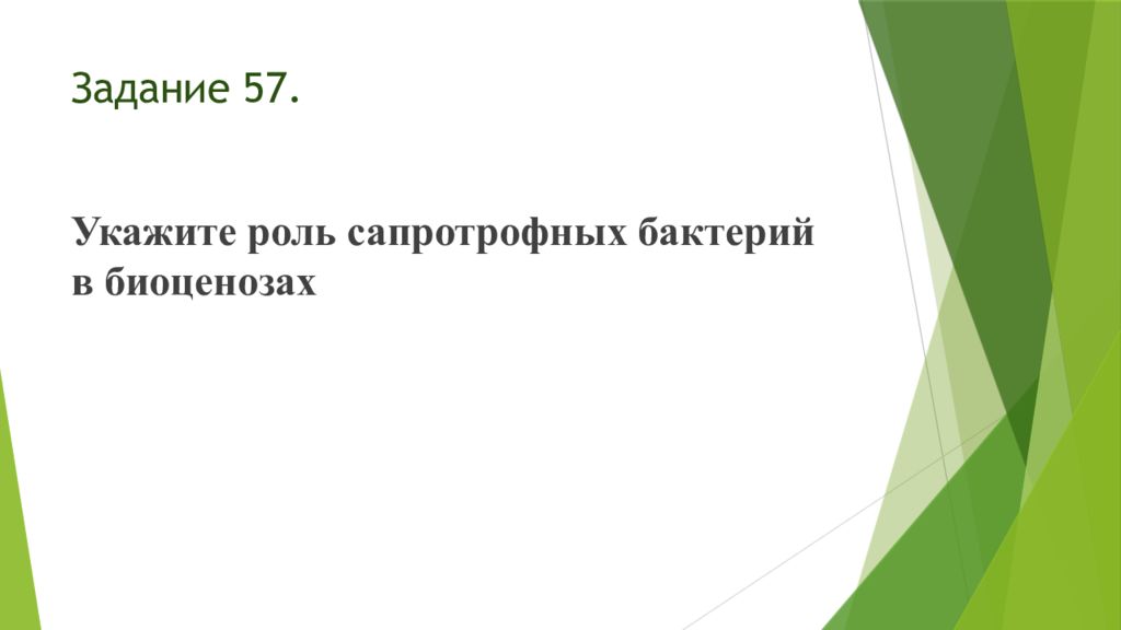 Укажите роль. Укажите роль сапротрофных бактерий в биоценозе. Функции сапротрофных бактерий.