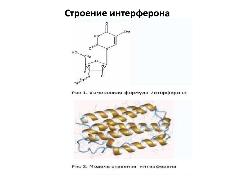 Рекомбинантный белок. Рекомбинантные белки как лекарственные средства. Рекомбинантный интерферон. Рекомбинантный интерферон презентация.