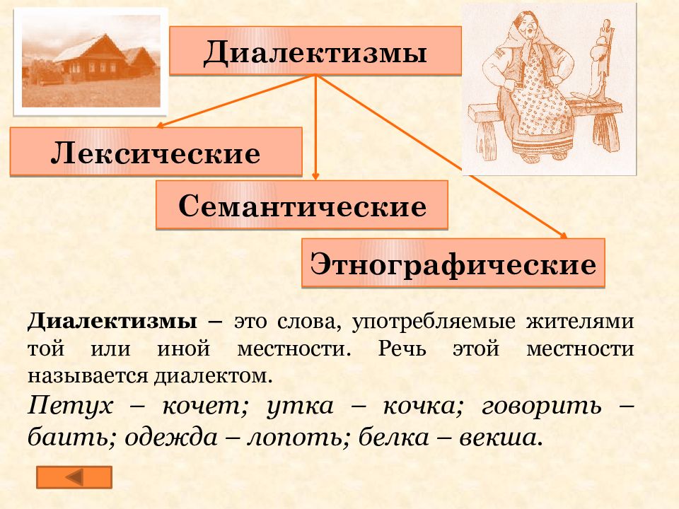 Диалектная речь. Презентация на тему диалектизмы. Лексика ограниченного употребления диалектизмы профессионализмы. Диалекты презентация. Диалектная лексика примеры.