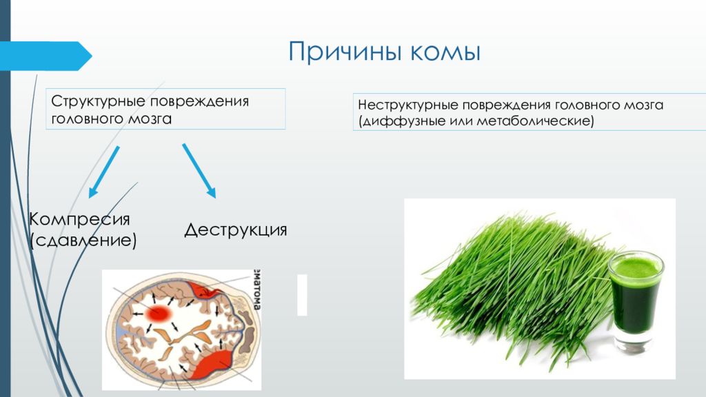 Кома причины. Причины комы. Кома презентация. Структурные повреждения. Структурная кома.