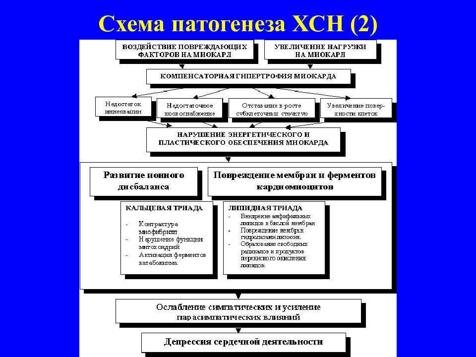 Схема патогенеза