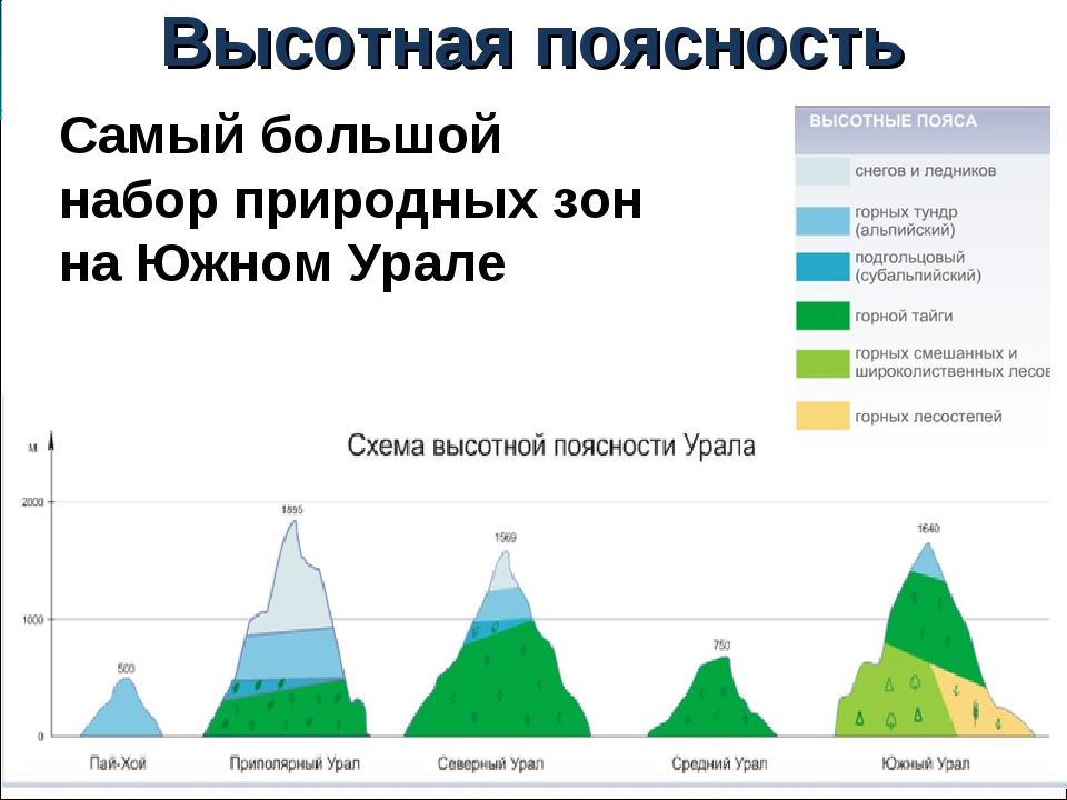 Презентация по географии 8 класс субтропики высотная поясность в горах полярная звезда