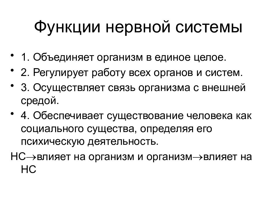 Какие функции выполняет нервная система. 3 Функции нервной системы. 4 Функции нервной системы. 1. Функции нервной системы. Основные функции нервной системы кратко.