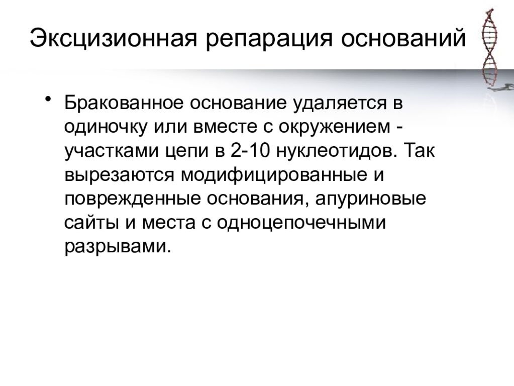 эксцизионная репарация нуклеотидов примеры. механизмы репараций поврежденного генома. репарация днк механизмы репарации. устройство системы репарации. основные механизмы репарации днк.