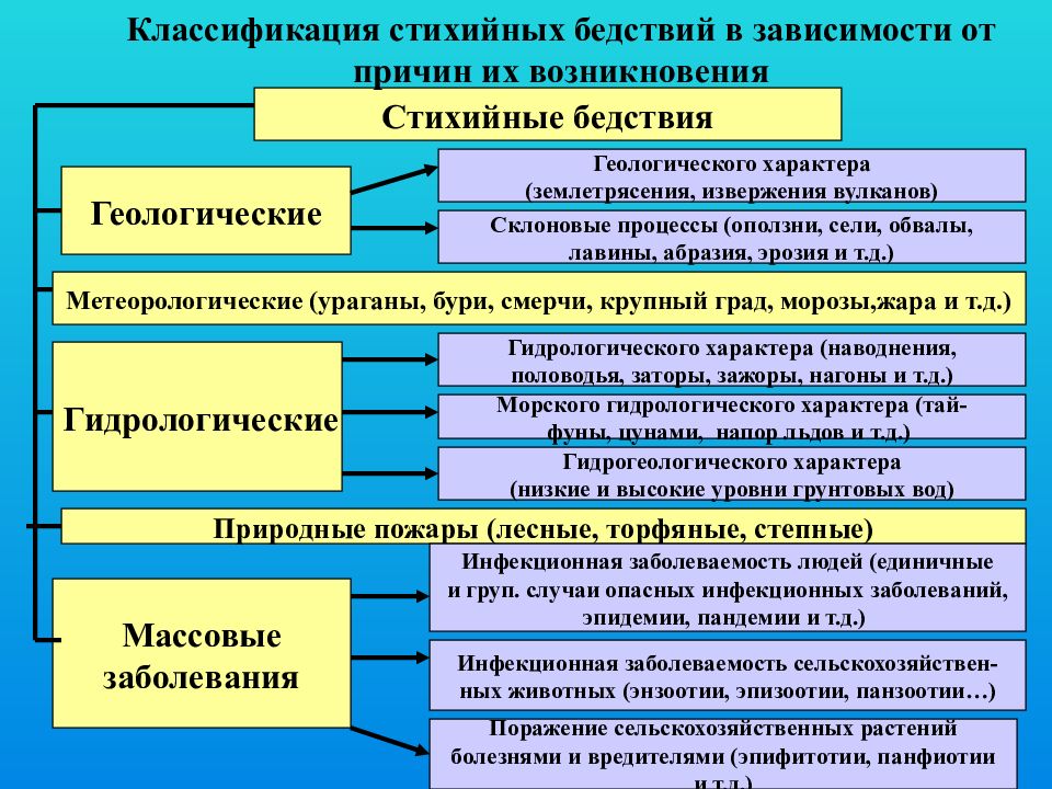 Проект природные катастрофы биология