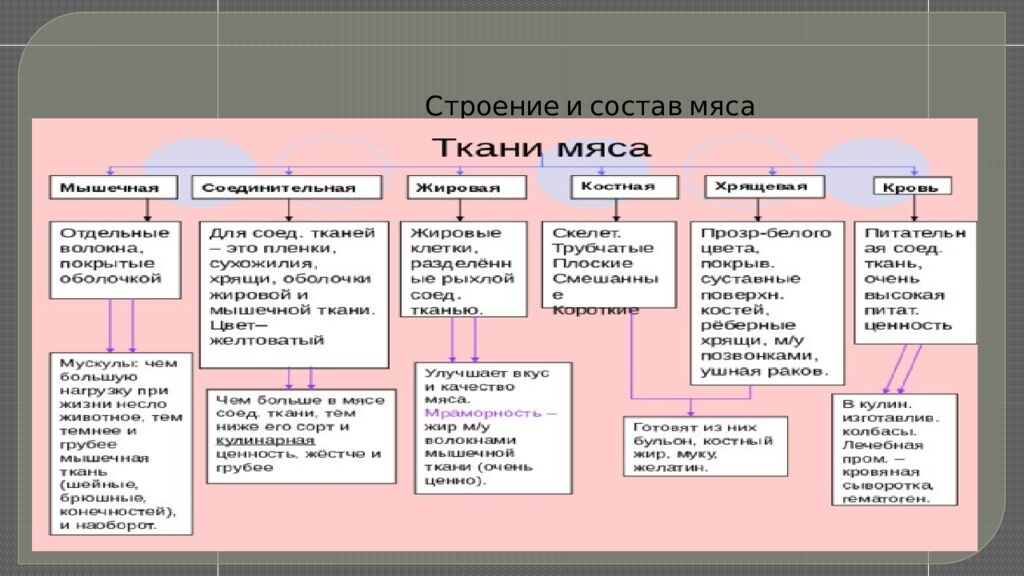 Строение и состав мяса